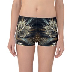 Roots Abstract Sectors Layers Colors Reversible Boyleg Bikini Bottoms
