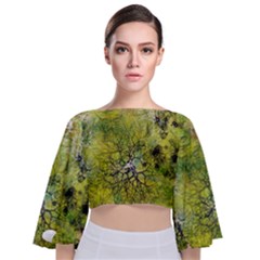 Abstract Spots Lines Green Tie Back Butterfly Sleeve Chiffon Top by Vaneshart