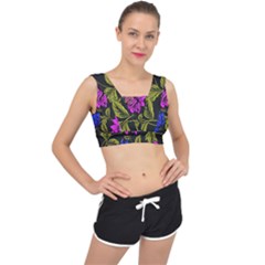 Botany  V-back Sports Bra by Sobalvarro