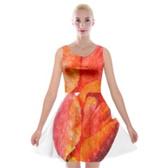 Spring Tulip Red Watercolor Aquarel Velvet Skater Dress by picsaspassion