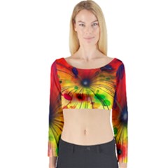 Color Background Structure Lines Long Sleeve Crop Top