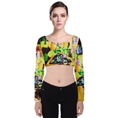 Lilac On A Counter Top 1 Velvet Long Sleeve Crop Top by bestdesignintheworld