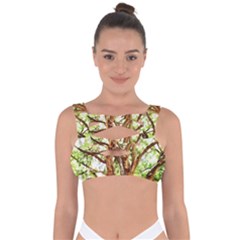 Hot Day In Dallas 14 Bandaged Up Bikini Top by bestdesignintheworld