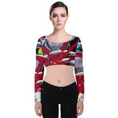 Pussy Butterfly 1 1 Velvet Long Sleeve Crop Top by bestdesignintheworld
