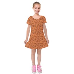 Animal Skin - Lion And Orange Skinnes Animals - Savannah And Africa Kids  Short Sleeve Velvet Dress by DinzDas