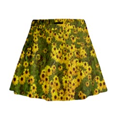 Daisy May Mini Flare Skirt
