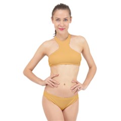 Bees Wax Orange High Neck Bikini Set by FabChoice