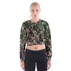 Dunn Cropped Sweatshirt