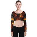 Dragon Fire Fantasy Art Velvet Long Sleeve Crop Top View1
