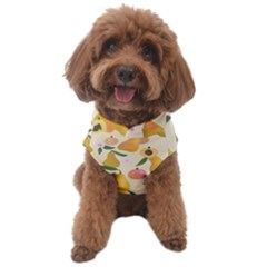 Yellow Juicy Pears And Apricots Dog Sweater by SychEva