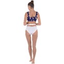Terrier Cute Dog With Stars Sun And Moon Bandaged Up Bikini Top View2