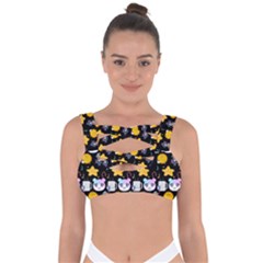 Cats Sun Stars Bandaged Up Bikini Top by Sparkle