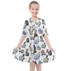 Funny Bunny Kids  All Frills Chiffon Dress by SychEva