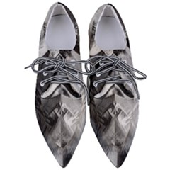 Oh, Bruce Pointed Oxford Shoes by MRNStudios