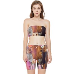 Picsart 22-03-21 13-33-20-883 Stretch Shorts And Tube Top Set