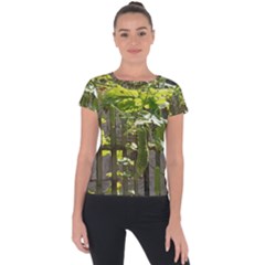 Bitter Melon Short Sleeve Sports Top  by artworkshop