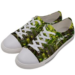 Bitter Melon Women s Low Top Canvas Sneakers by artworkshop