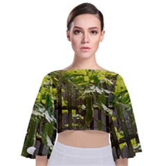Bitter Melon Tie Back Butterfly Sleeve Chiffon Top by artworkshop