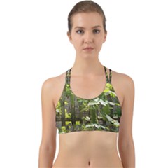 Bitter Melon Back Web Sports Bra by artworkshop