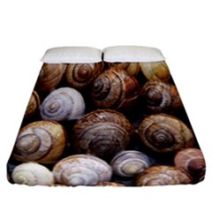Snail Shells Pattern Arianta Arbustorum Fitted Sheet (california King Size)