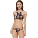 Snail Shells Pattern Arianta Arbustorum Banded Triangle Bikini Set View1
