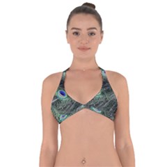 Plumage Peacock Feather Colorful Halter Neck Bikini Top