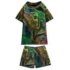 Chameleon Reptile Lizard Animal Kids  Swim Tee And Shorts Set by Wegoenart