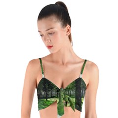 Beeches Trees Tree Lawn Forest Nature Woven Tie Front Bralet