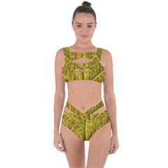 Leaf Structure Texture Background Bandaged Up Bikini Set  by Wegoenart