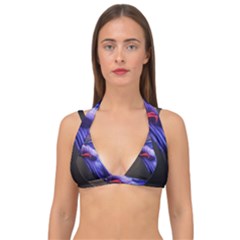 Betta Fish Photo And Wallpaper Cute Betta Fish Pictures Double Strap Halter Bikini Top
