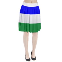Ladinia Flag Pleated Skirt