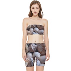 Beautiful Seashells  Stretch Shorts And Tube Top Set by StarvingArtisan