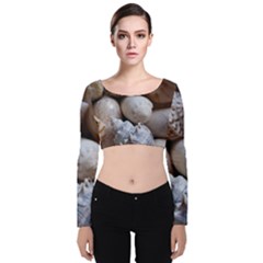 Beautiful Seashells  Velvet Long Sleeve Crop Top by StarvingArtisan