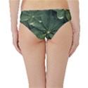 Leaves Closeup Background Photo1 Hipster Bikini Bottoms View2