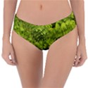 Botanical Motif Plants Detail Photography Reversible Classic Bikini Bottoms View1