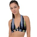 Pencil colorfull pattern Halter Plunge Bikini Top View1