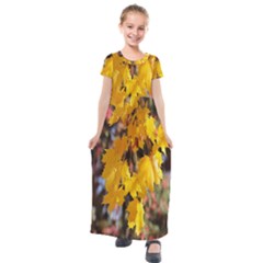 Amazing Arrowtown Autumn Leaves Kids  Short Sleeve Maxi Dress by artworkshop