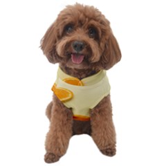 Fruite Orange Dog Sweater by artworkshop