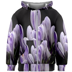 Crocus Flowers Purple Flowers Spring Nature Kids  Zipper Hoodie Without Drawstring by Ravend
