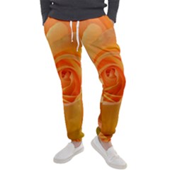 Flower Plant Rose Nature Garden Orange Macro Men s Jogger Sweatpants by Ravend
