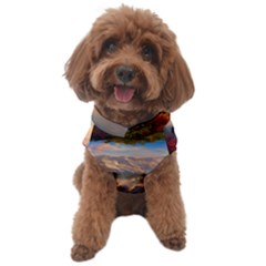 Summer Sunset Dog Sweater by GardenOfOphir