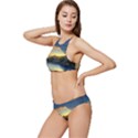 Crimson Sunset Banded Triangle Bikini Set View2