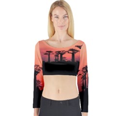 Baobabs Trees Silhouette Landscape Sunset Dusk Long Sleeve Crop Top by Jancukart