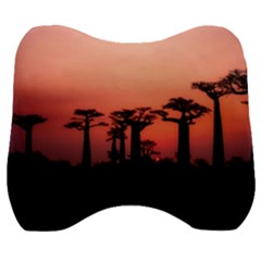 Baobabs Trees Silhouette Landscape Sunset Dusk Velour Head Support Cushion by Jancukart