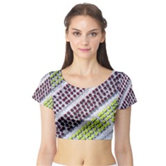 Field Agriculture Farm Stripes Diagonal Pattern Short Sleeve Crop Top by Jancukart