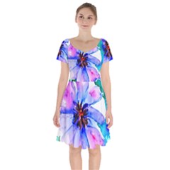 220cde476e6c434b8bbbaee3fd39d8f1 Short Sleeve Bardot Dress by Fhkhan22