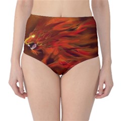 Fire Lion Flames Light Mystical Dangerous Wild Classic High-waist Bikini Bottoms by Mog4mog4