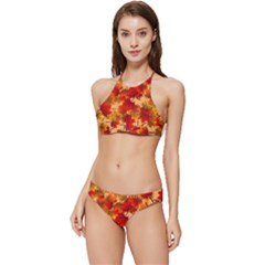 Wallpaper Background Autumn Fall Banded Triangle Bikini Set