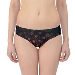 Peacock Feathers Hipster Bikini Bottoms