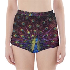 Peacock Feathers High-waisted Bikini Bottoms